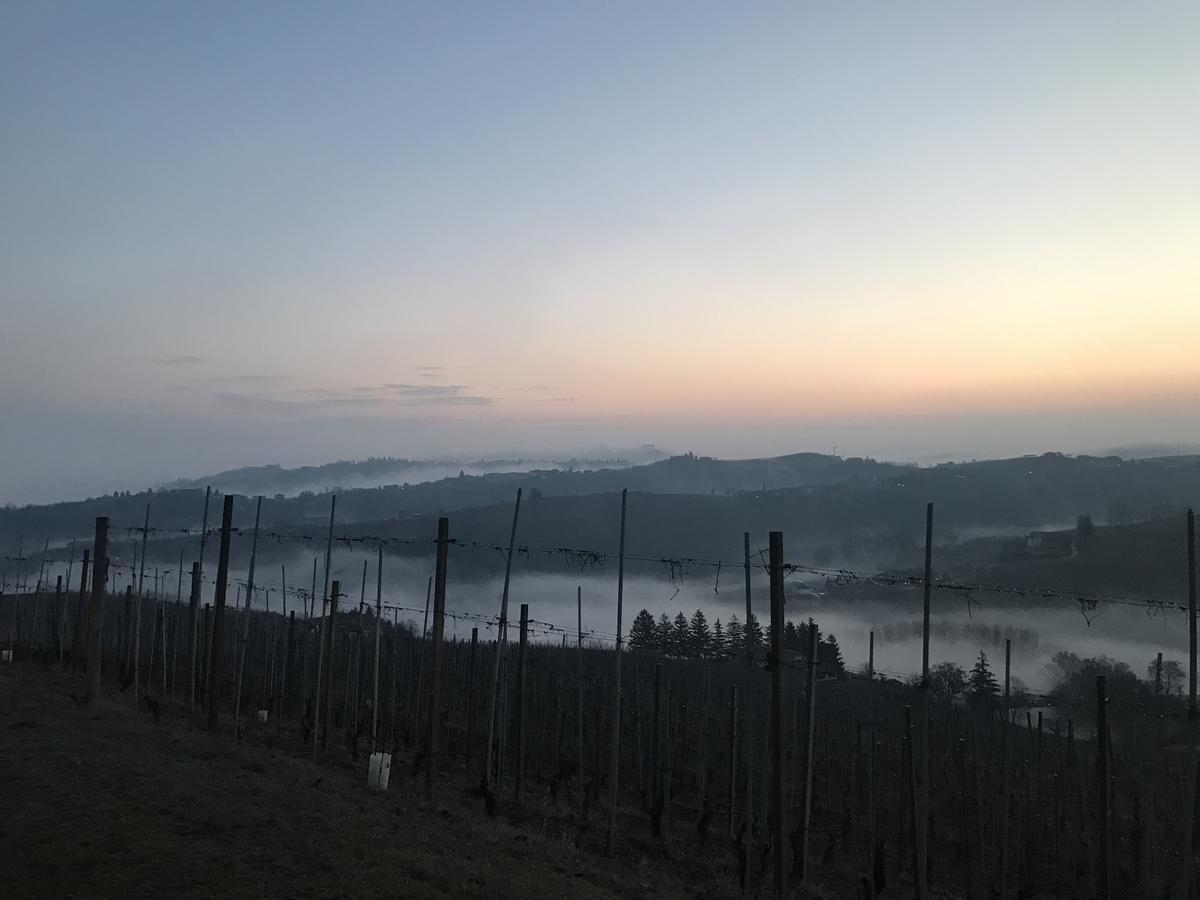 Bed & Breakfast Rabaya' Barbaresco